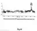 Fig. 08 - Assays for preimplantation factor and preimplantation factor peptides