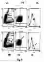 Fig. 09 - Assays for preimplantation factor and preimplantation factor peptides