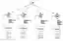 Fig. 01 - SALICYLAMIDE-LANTHANIDE COMPLEXES FOR USE AS LUMINESCENT MARKERS