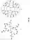 Fig. 07 - SALICYLAMIDE-LANTHANIDE COMPLEXES FOR USE AS LUMINESCENT MARKERS