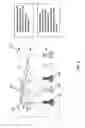 Fig. 04 - Neuromorphic device for proofreading connection adjustments in hardware artificial neural networks