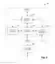 Fig. 05 - Explicit delimitation of semantic scope
