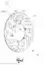 Fig. 02 - Brake disc