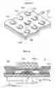 Fig. 11 - Key Input Apparatus and Electronic Device