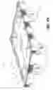 Fig. 22 - TRAY AND DOLLY