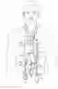 Fig. 01 - IV infusion bag carrier pack