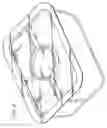 Fig. 06 - Injection Molded Water-Soluble Container