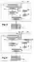 Fig. 04 - Scan engine interface