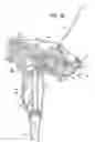 Fig. 19 - Systems and methods for spraying water and mixtures of water and other materials