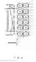 Fig. 04 - Solid state image sensing device