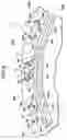 Fig. 10 - Rotor for rotating electrical machine