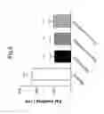 Fig. 06 - Chemokine Antagonists