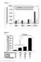 Fig. 09 - Uses of notch receptors, notch ligands, and notch modulators in methods related to metabolic diseases