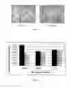 Fig. 03 - Cosmetic preparation and method for preparing the same
