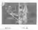 Fig. 06 - Premixed biological hydraulic cement paste composition and using the same