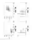 Fig. 02 - ISOLATED POPULATION OF RAPIDLY PROLIFERATING MARROW STROMAL CELLS FOR ENHANCED IN VIVO ENGRAFTMENT