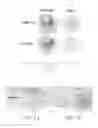 Fig. 06 - Material and Methods for Nerve Grafting