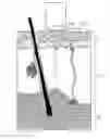 Fig. 01 - Method for measuring enzymatic activity in vivo by use of laser
