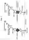 Fig. 04 - HCV multiple epitope fusion antigens with modified proteolytic cleavage sites and uses thereof