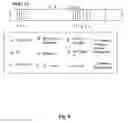 Fig. 17 - HCV multiple epitope fusion antigens with modified proteolytic cleavage sites and uses thereof