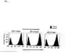 Fig. 06 - Method For Determining The Function Of Nucleic Acid Sequences And Expression Products Coded Thereby
