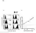 Fig. 08 - Method For Determining The Function Of Nucleic Acid Sequences And Expression Products Coded Thereby