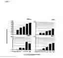 Fig. 09 - Method For Determining The Function Of Nucleic Acid Sequences And Expression Products Coded Thereby
