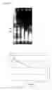 Fig. 07 - Control of Preservation By Biomarkers