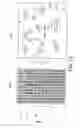 Fig. 15 - Scripted interactive screen media