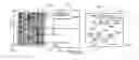 Fig. 29 - Scripted interactive screen media