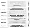 Fig. 01 - COMPETITIVE ADVANTAGE RATING METHOD AND APPARATUS