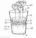 Fig. 01 - Method of covering a potted plant