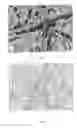 Fig. 02 - Process for recycling glass fiber