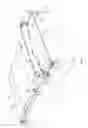 Fig. 02 - Dust-proof end closure for contractible canopy
