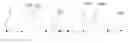 Fig. 01 - Video stream modifier
