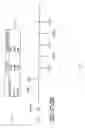Fig. 07 - Content receiving apparatus, method of controlling video-audio output timing and content providing system