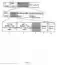 Fig. 12 - Content receiving apparatus, method of controlling video-audio output timing and content providing system