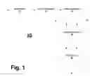Fig. 02 - METHOD AND SYSTEM FOR DIVERSITY RECEIVER BASED ON TDS-OFDM TECHNOLOGY