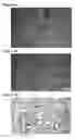 Fig. 03 - Process for Production of a Carboxylic Acid/Diol Mixture Suitable for Use in Polyester Production