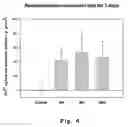 Fig. 05 - Fluoride-releasing strips for tooth