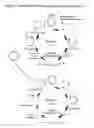 Fig. 04 - Cell Free Biosynthesis of High-Quality Nucleic Acid and Uses Thereof