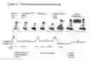 Fig. 05 - Cell Free Biosynthesis of High-Quality Nucleic Acid and Uses Thereof