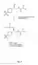 Fig. 03 - COMPOSITIONS CONTAINING PRODRUGS OF FLORFENICOL AND METHODS OF USE