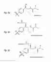 Fig. 10 - COMPOSITIONS CONTAINING PRODRUGS OF FLORFENICOL AND METHODS OF USE