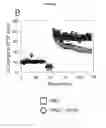 Fig. 06 - Compositions and Methods For Treatment of Disorders of Protein Aggregation