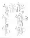 Fig. 02 - Isolation, Purification and Synthesis of Procyanidin B2 and Uses Thereof