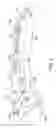 Fig. 04 - Flick knife with a lever frame