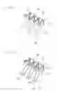 Fig. 06 - Filter Apparatus and Filter Body