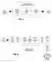 Fig. 04 - Binary Data Relay Systems and Methods of Real-Time Communication of Binary Data Through a Peer-To-Peer Network
