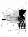Fig. 01 - Device for processing an edible product